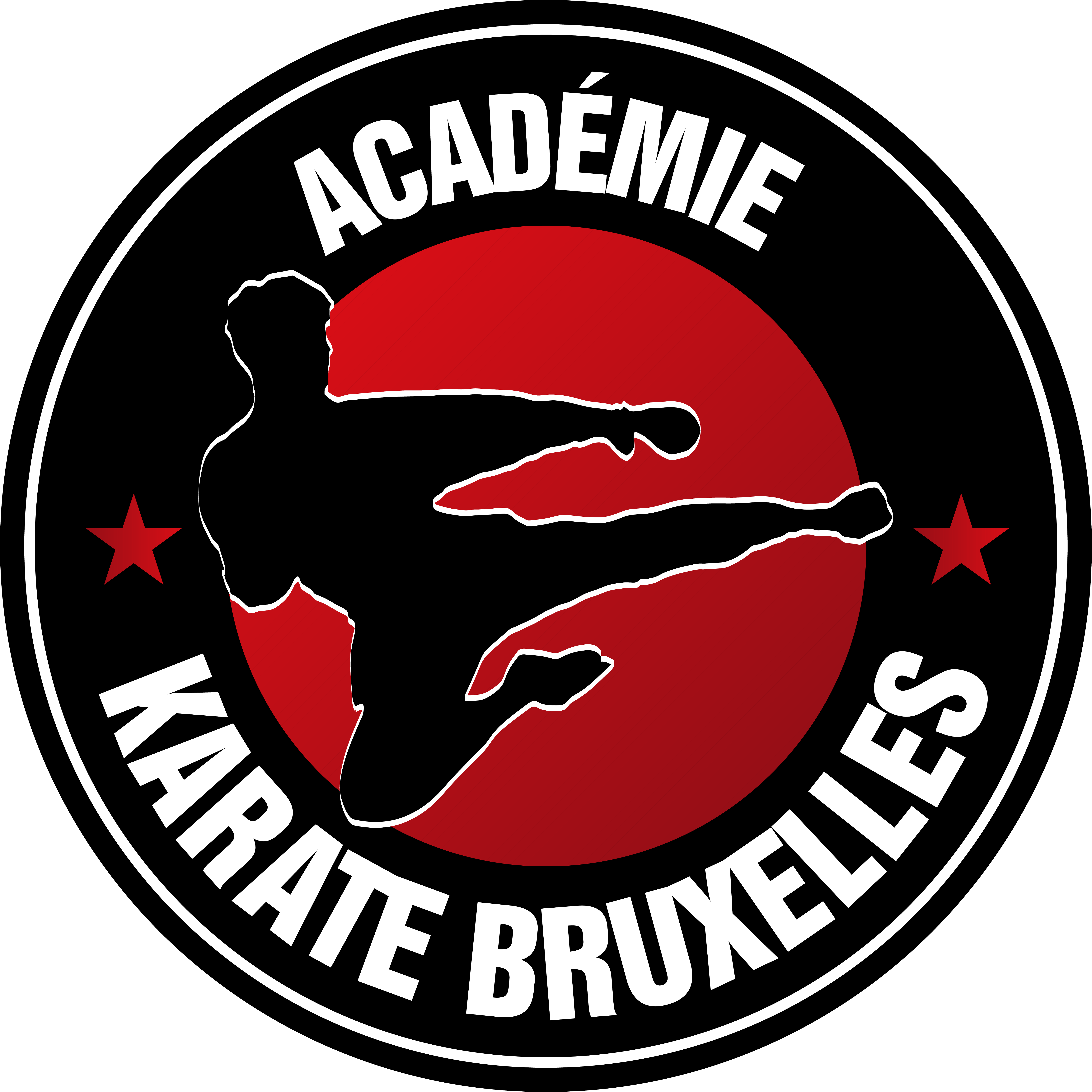 academiekaratebruxelles.net